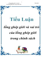 Tiểu luận: Lồng ghép giới và vai trò của lồng ghép giới trong chính sách potx