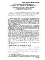 Báo cáo khoa học: Các vấn đề môi trường trong quá trình đô thị hoá – công nghiệp hóa ở Thành phố Đà Nẵng doc
