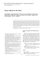 Energy Options for the Future* ppt
