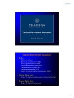 Capillary Electrophoresis docx