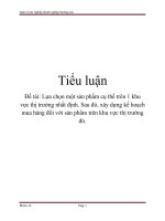 Luận văn: Lựa chọn một sản phẩm cụ thể trên 1 khu vực thị trường nhất định doc