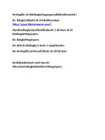 huong dan chi tiet dang ky mega kiem tien tai nha ppt