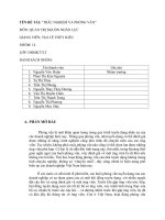 Báo cáo đề tài: