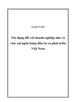 LUẬN VĂN: Tín dụng đối với doanh nghiệp nhỏ và vừa tại ngân hàng đầu tư và phát triển Việt Nam pdf