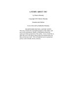 A STORY ABOUT YOU by Darren Domsky ppt