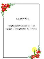 LUẬN VĂN: Năng lực cạnh tranh của các doanh nghiệp bảo hiểm phi nhân thọ Việt Nam pdf