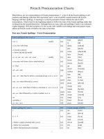 French Pronunciation Charts pdf