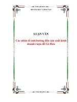 Đề tài : Các nhân tố ảnh hưởng đến sản xuất kinh doanh rượu đế Gò Đen pot