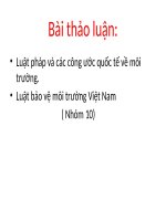 Luật pháp và các công ước quôc tế về bảo vệ môi trường docx