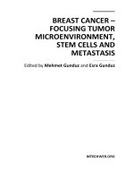 BREAST CANCER – FOCUSING TUMOR MICROENVIRONMENT, STEM CELLS AND METASTASIS ppt