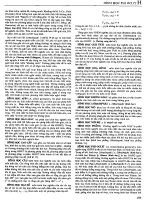 Từ điển bách khoa Việt Nam 2_P2 doc