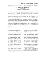 Báo cáo khoc học: Đại học đẳng cấp quốc tế ở Malaysia: khát vọng và thực tế potx