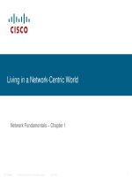Living in a Network-Centric World Network Fundamentals pptx
