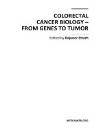 COLORECTAL CANCER BIOLOGY – FROM GENES TO TUMOR potx