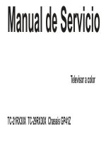 Manual de Servicio Televisor a color potx