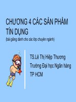 BÀI GIẢNG : CÁC SẢN PHẨM TÍN DỤNG_Trường Đại học Ngân hàng TP HCM pdf