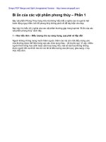 Bí ẩn của các vật phẩm phong thủy docx