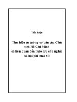 Tiểu luận Tìm hiểu tư tưởng cơ bản của Chủ tịch Hồ Chí Minh có liên quan đến trào lưu chủ nghĩa xã hội phi mác xít docx
