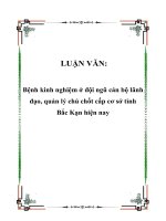 LUẬN VĂN: Bệnh kinh nghiệm ở đội ngũ cán bộ lãnh đạo, quản lý chủ chốt cấp cơ sở tỉnh Bắc Kạn hiện nay ppt