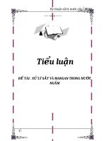 ĐỀ TÀI: XỬ LÝ SẮT VÀ MANGAN TRONG NƯỚC NGẦM pot