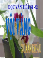 vội vàng - xuân diệu