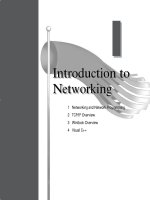 Networking and Network Programming pptx