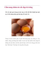 Cẩm nang chăm sóc sắc đẹp từ trứng docx