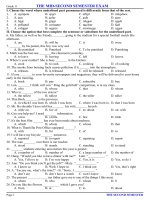 THE MID-SECOND SEMESTER EXAM - Grade 11 doc