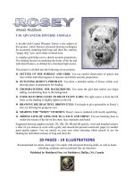 T-01 ADVANCED: DIVERSE ANIMALS docx