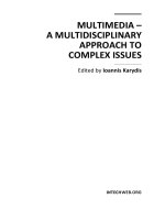 MULTIMEDIA – A MULTIDISCIPLINARY APPROACH TO COMPLEX ISSUES ppt