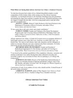 African American Core Values: A Guide for Everyone pot