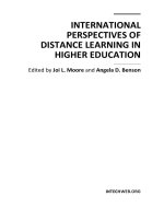 INTERNATIONAL PERSPECTIVES OF DISTANCE LEARNING IN HIGHER EDUCATION pot