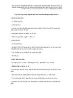 Cấp mới Giấy chứng nhận đủ điều kiện kinh doanh nguyên liệu thuốc lá docx