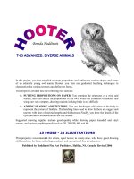 T-03 ADVANCED: DIVERSE ANIMALS pot