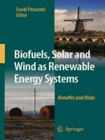 Biofuels, Solar and Wind as Renewable Energy Systems: Benefits and Risks pptx