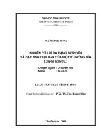 Luận văn: Nghiên cứu sự đa dạng di truyền và đặc tính chịu hạn của một số giống lúa docx