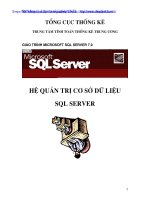 Quản trị Cơ sở dữ liệu SQL Server pptx