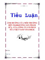 TIỂU LUẬN: ẢNH HƯỞNG CỦA MÔI TRƯỜNG ĐẾN MARKETING SẢN PHẨM SỮA CỦA CÔNG TY CỔ PHẦN SỮA VIỆT NAM VINAMILK pptx