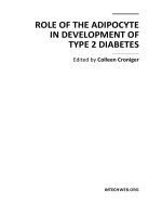 ROLE OF THE ADIPOCYTE IN DEVELOPMENT OF TYPE 2 DIABETES potx