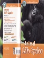 Animal life cycles docx