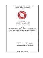 TIỂU LUẬN QUẢN TRỊ RỦI RO  CHIẾN LƯỢC PHÒNG VỆ GIÁ XUỐNG BẰNG PHƯƠNG PHÁP KẾT HỢP QUYỀN CHỌN BÁN (BEAR PUT SPREAD)  CỦA TỔNG CÔNG TY CỔ PHẦN LƯƠNG THỰC MIỀN BẮC