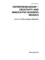 ENTREPRENEURSHIP – CREATIVITY AND INNOVATIVE BUSINESS MODELS docx