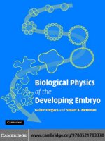 Biological Physics of the Developing Embryo pptx