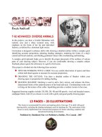 T-02 ADVANCED: DIVERSE ANIMALS potx