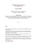 20 Minute Sales Letter Secrets for ”Good Enough” Copy By Jason Fladlien doc