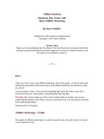 Affiliate Stardom Dominate Tiny Niches with Basic Affiliate Marketing By Jason Fladlien potx