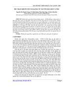 Báo cáo khoa học: Thu nhận khuôn nền ngoại bào từ nguyên bào sợi in vitro pot