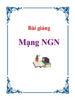 Bài giảng: Mạng NGN pdf