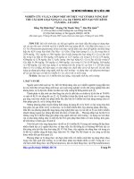 Báo cáo khoa học: ghiên cứu và lựa chọn một số thực vật có khả năng hấp thu các kim loại nặng (cr, cu, zn) trong bùn nạo vét kênh Tân Hóa - Lò Gốm pot
