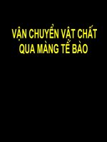Vận chuyển vật chất qua màng tế bào pot